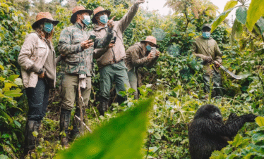 4-Day Gorilla Trekking Safari