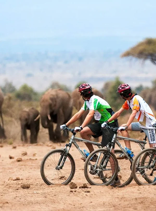 10-Days-Rwanda-Uganda-Gorilla-Cycling-safari