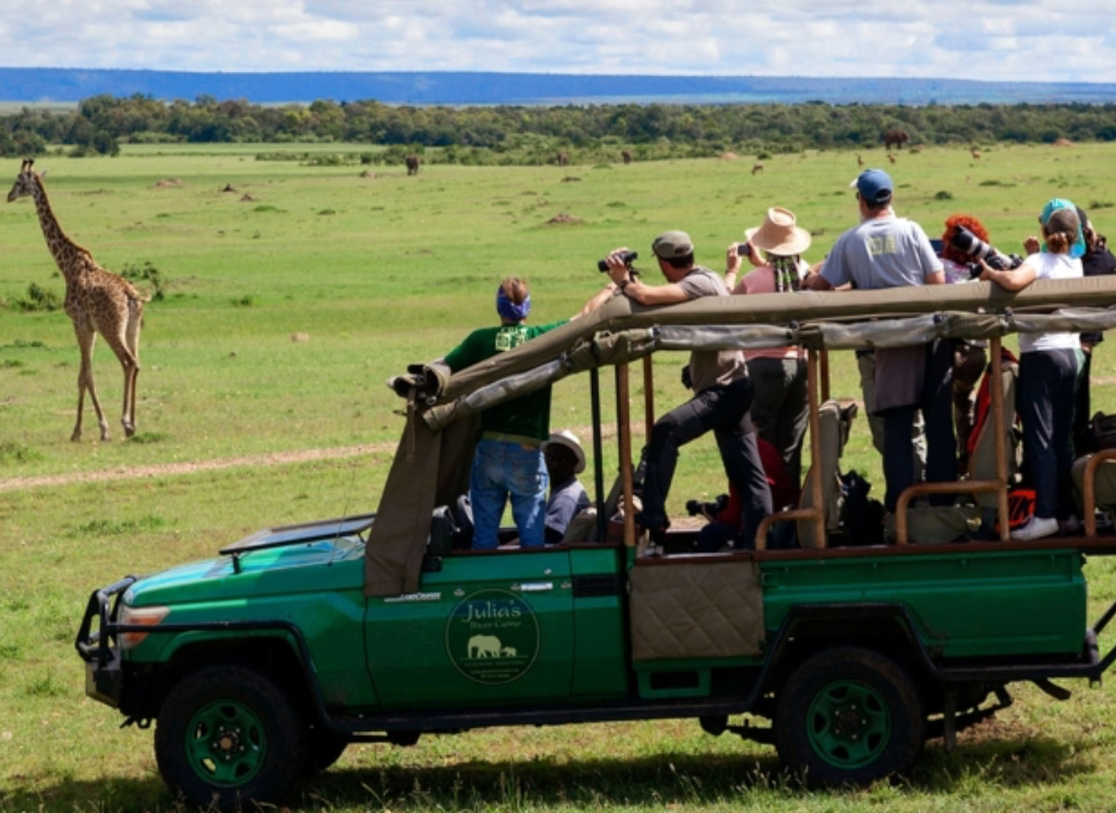 game drive