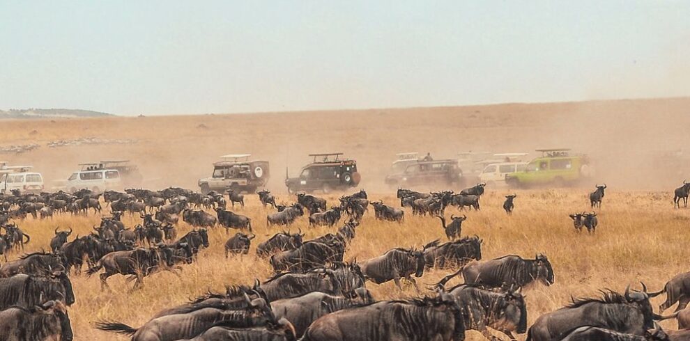 Kenya Luxury Fly-In Safari