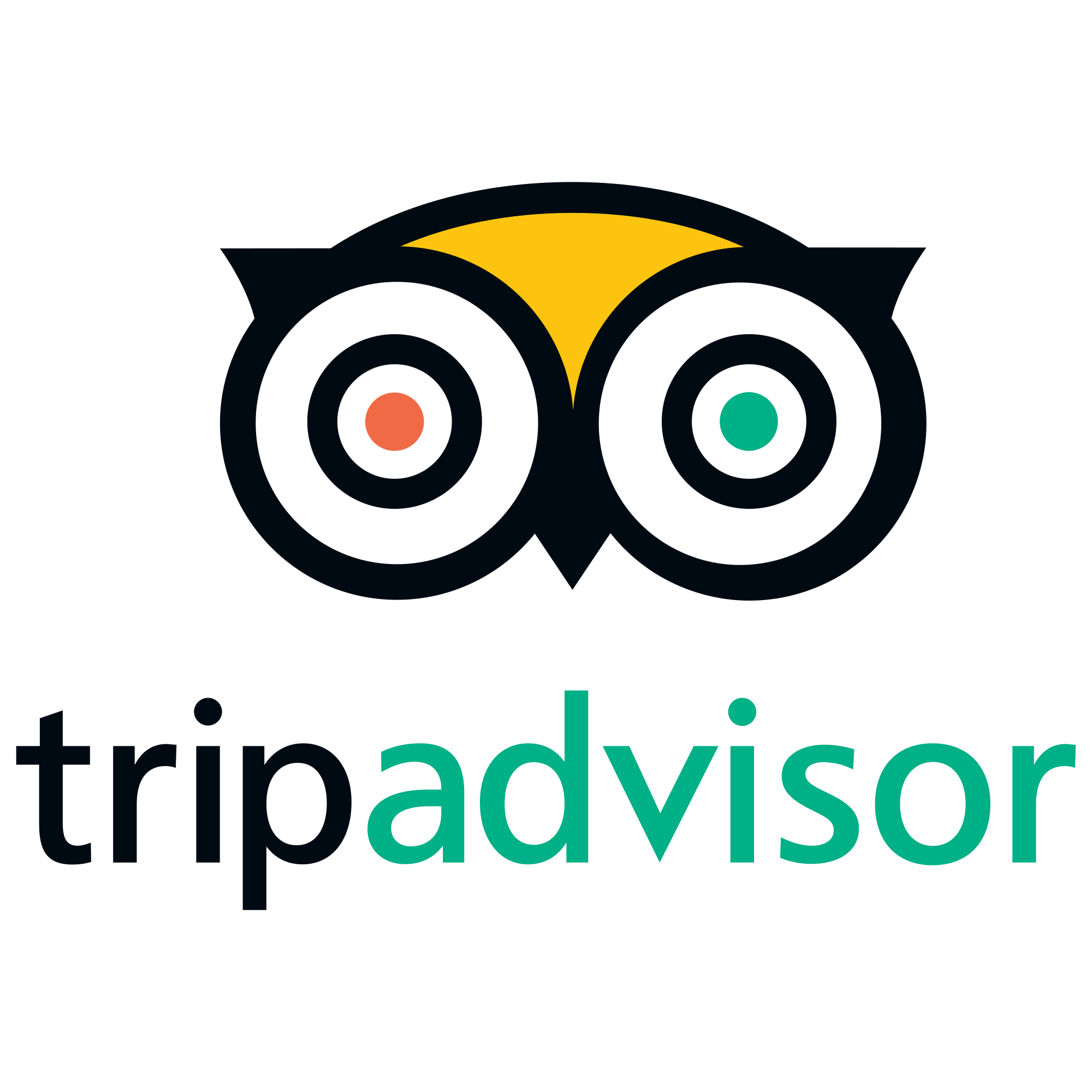 TripAdvisor Logo.wine_ 1