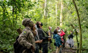 Wildlife, gorilla trekking, and lakes on 11-Day Uganda Group Joining Safari