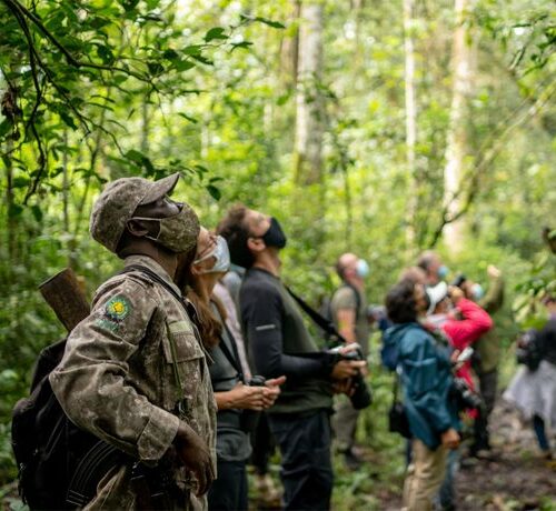 Wildlife, gorilla trekking, and lakes on 11-Day Uganda Group Joining Safari