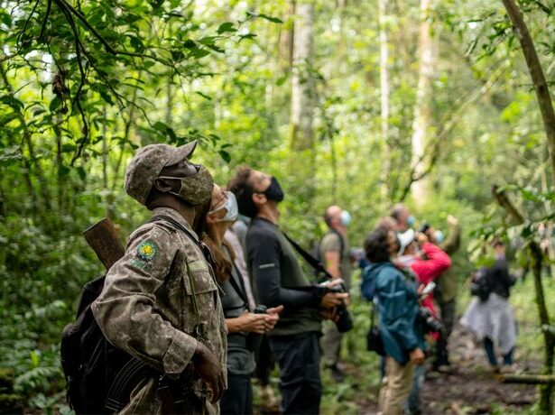 Wildlife, gorilla trekking, and lakes on 11-Day Uganda Group Joining Safari