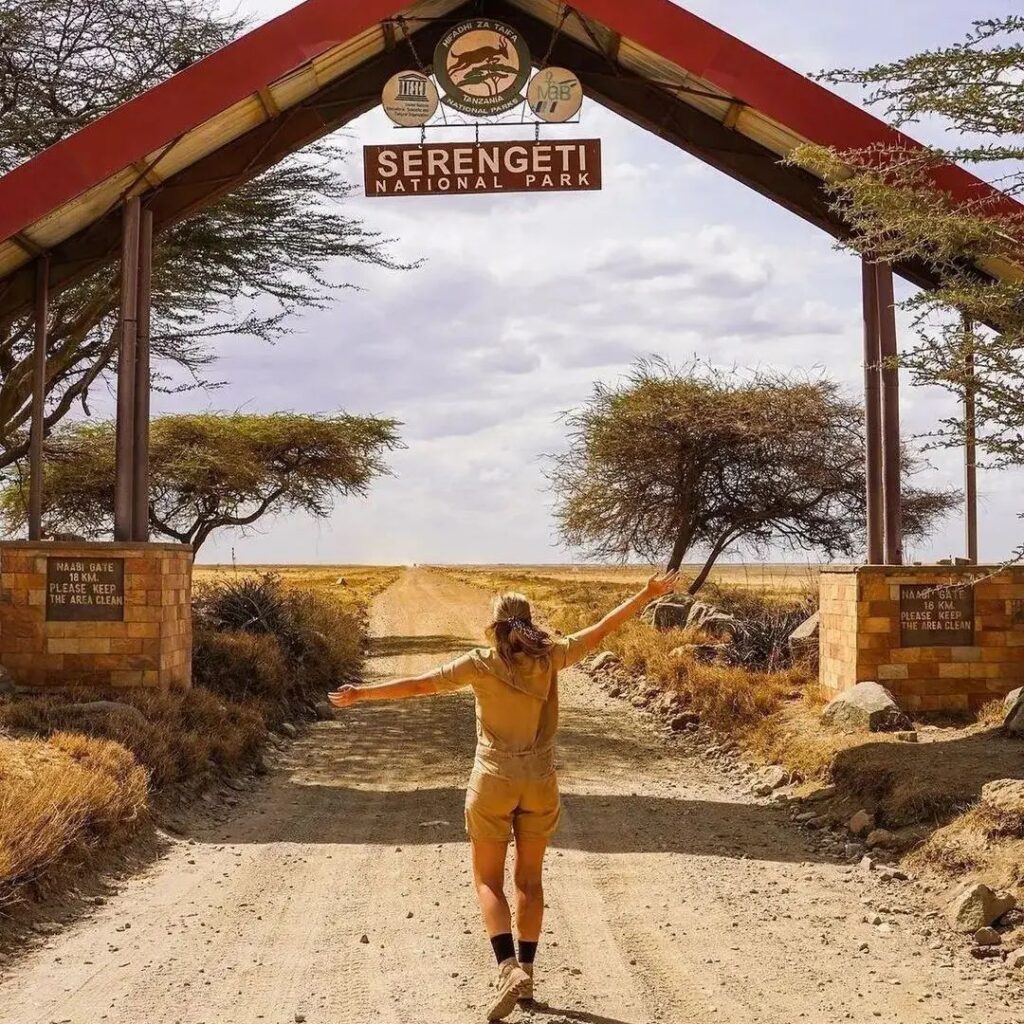 4-Day Serengeti Safari in Tanzania with wildlife game drives across open savannah plains