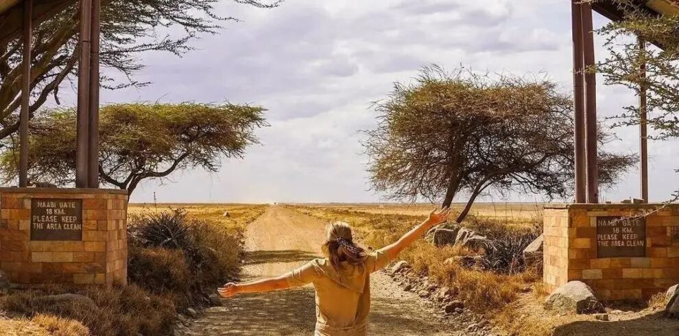 4-Day Serengeti Safari in Tanzania with wildlife game drives across open savannah plains