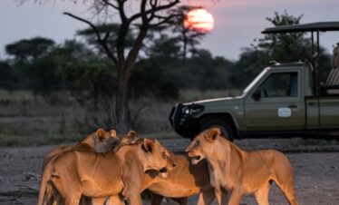 6-Day Magical Kenya Safari across Tsavo East, Tsavo West, Lake Nakuru and Maasai Mara