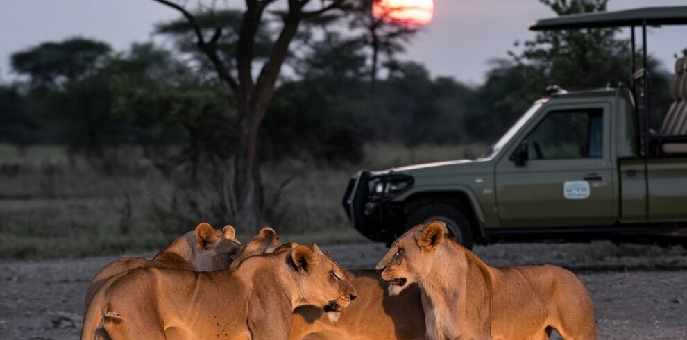6-Day Magical Kenya Safari across Tsavo East, Tsavo West, Lake Nakuru and Maasai Mara