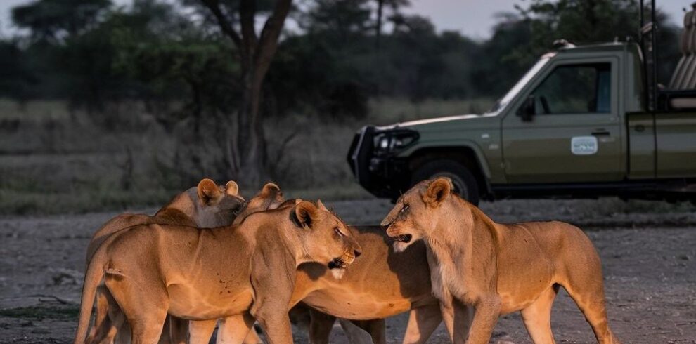 6-Day Magical Kenya Safari across Tsavo East, Tsavo West, Lake Nakuru and Maasai Mara