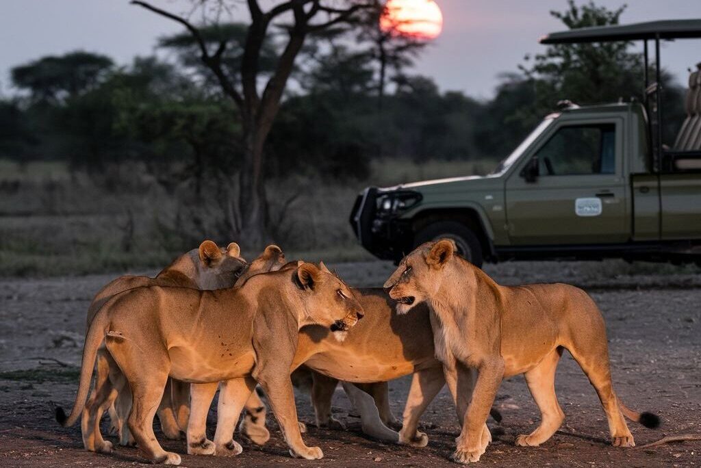6-Day Magical Kenya Safari across Tsavo East, Tsavo West, Lake Nakuru and Maasai Mara