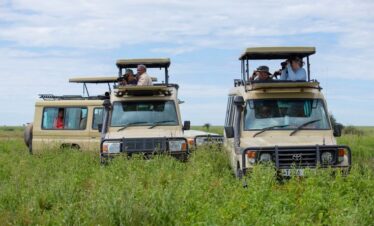 9-Day Tanzania Safari exploring Tarangire, Ngorongoro, Ndutu, and Serengeti with thrilling game drives and wildlife encounters