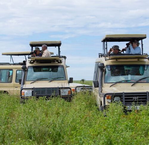 9-Day Tanzania Safari exploring Tarangire, Ngorongoro, Ndutu, and Serengeti with thrilling game drives and wildlife encounters