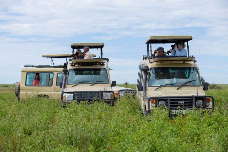 9-Day Tanzania Safari exploring Tarangire, Ngorongoro, Ndutu, and Serengeti with thrilling game drives and wildlife encounters