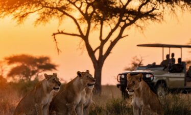 lions-on-game-drive-masai-mara-national-reserve
