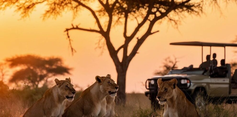 cost of an African safari