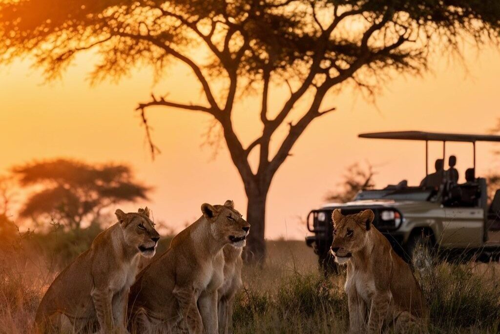 cost of an African safari