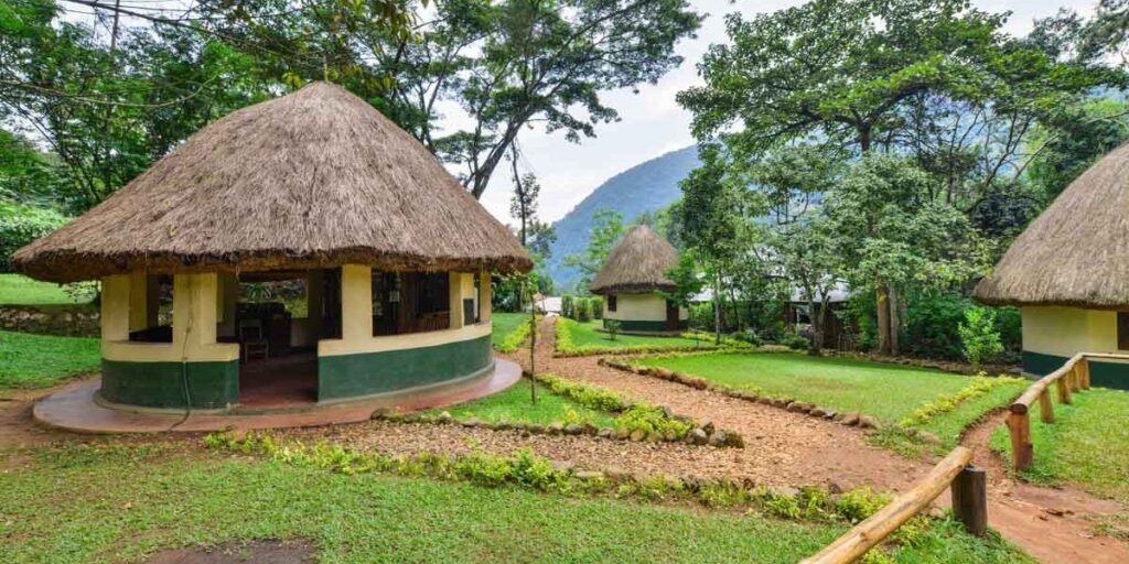 Buhoma Community Rest Camp - Budget Accommodation In Bwindi Forest