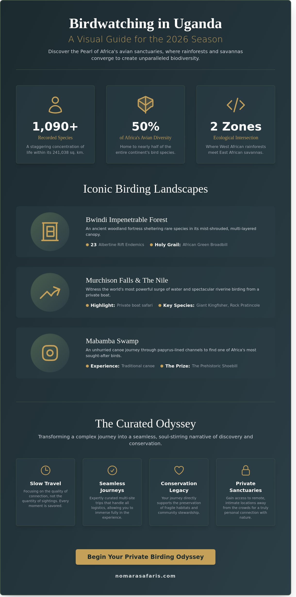 Birdwatching in Uganda: A Soul-Stirring Journey into Africa’s Avian Sanctuary