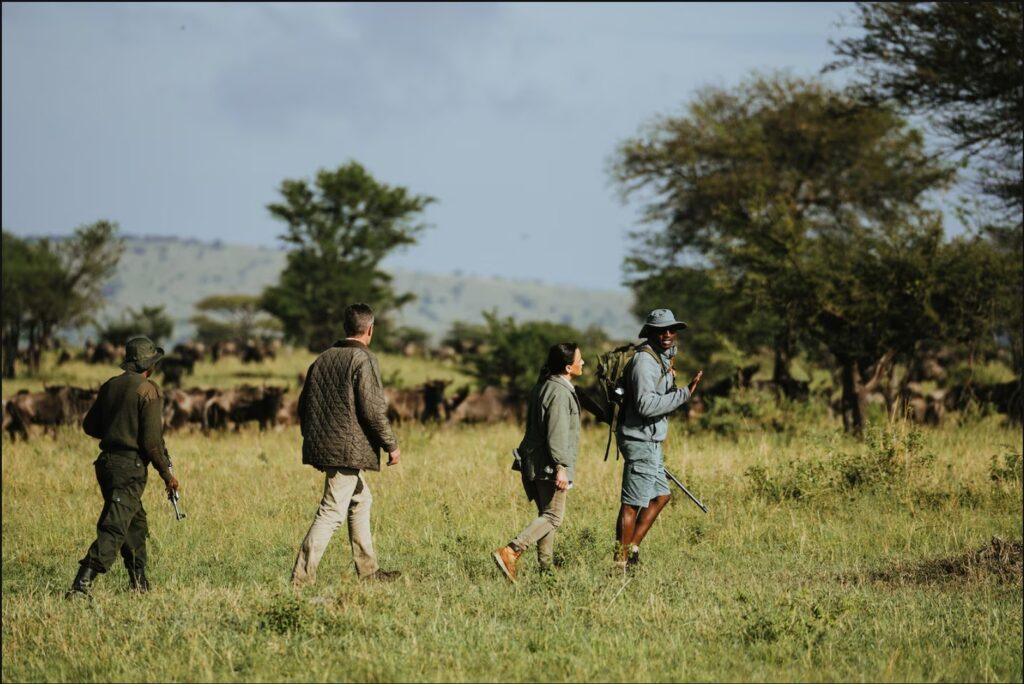 Guided walking safaris one of the Wildlife tours in Africa
Photograph by Wilderness