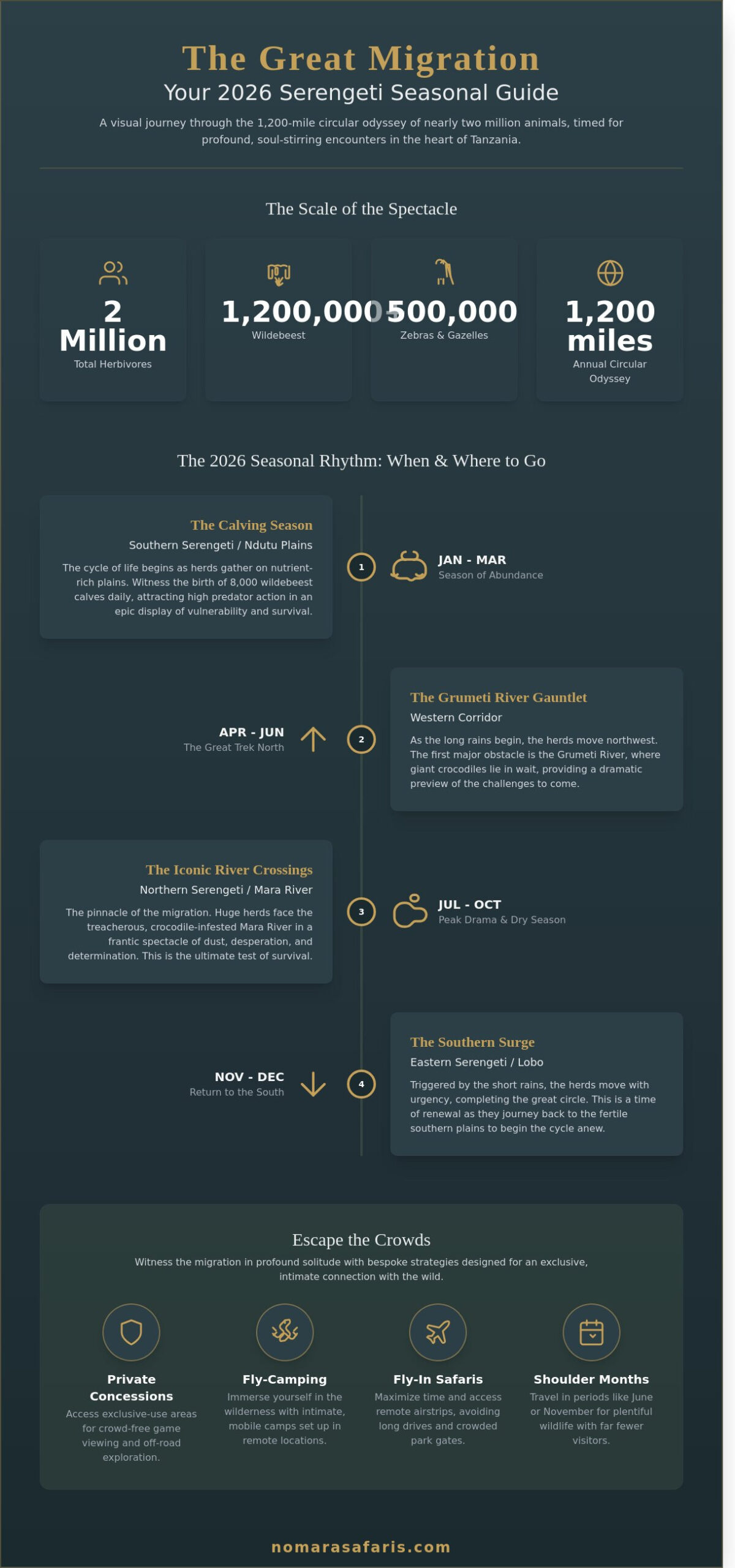 Tanzania Great Migration Safari 2026: The Ultimate Soul-Stirring Guide