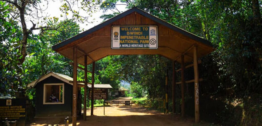 Bwindi Impenetrable Forest