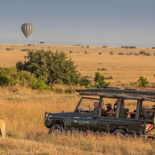 Laikipia & Masai Mara Safari