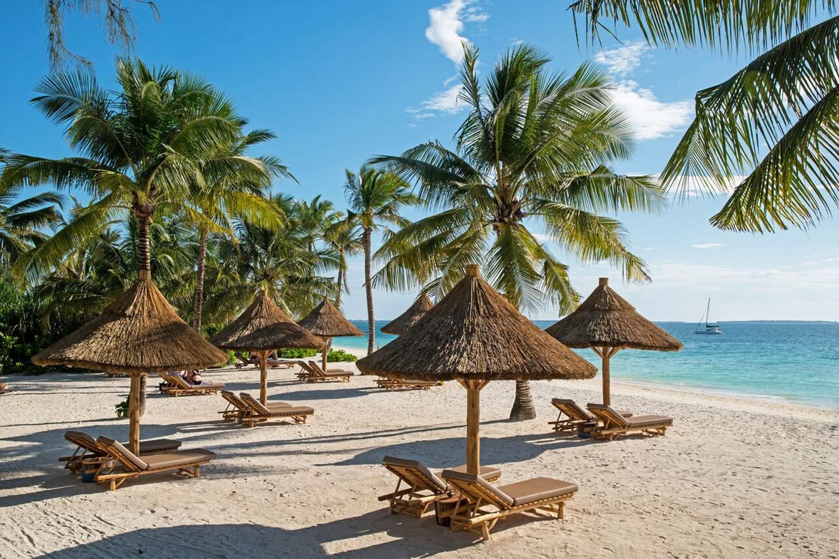 Zanzibar Tropical Escape