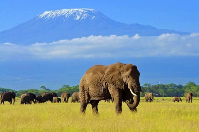 8-day Serengeti and Ngorongoro safari