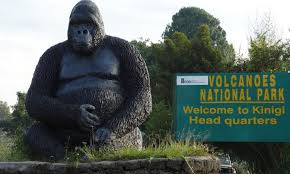best safari destinations in East Africa