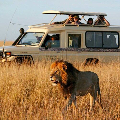 6-Day Kenya Family Safari Adventure | Child-Friendly Game Drives