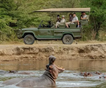 slow safari trend