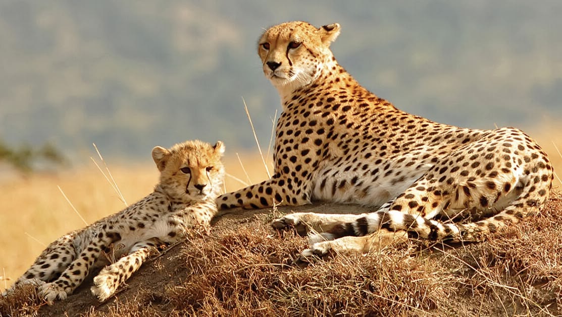 Kidepo Wilderness & Cultural Experience