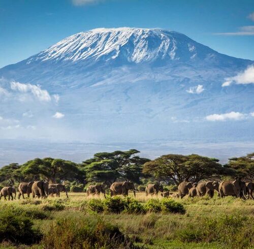 Mount Kilimanjaro Climbing Package