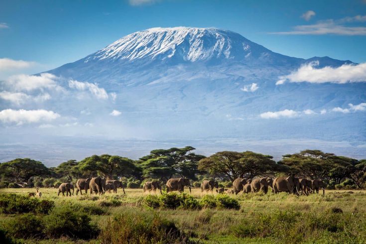 Mount Kilimanjaro Climbing Package