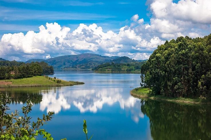 Gorilla Trekking & Lake Bunyonyi Escape