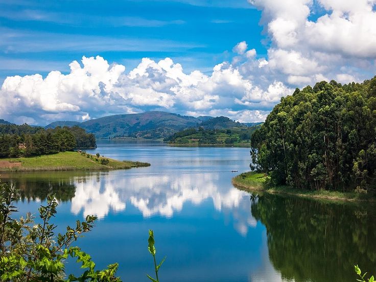 Gorilla Trekking & Lake Bunyonyi Escape