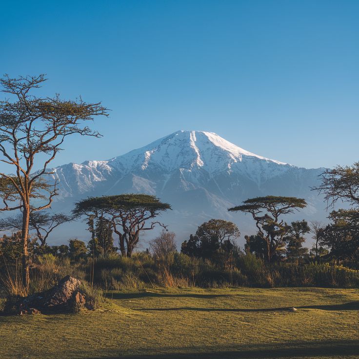 Mount Kenya Trek