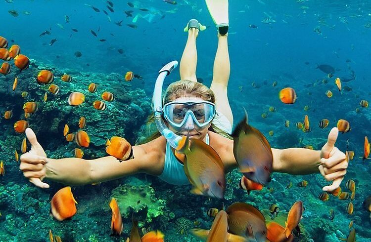 Zanzibar Snorkeling & Diving Safari