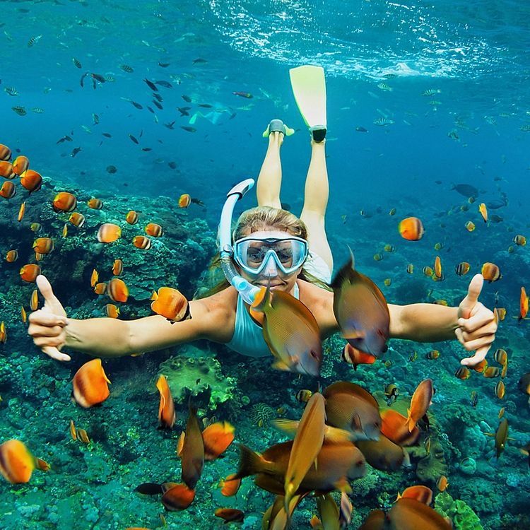 Zanzibar Snorkeling & Diving Safari