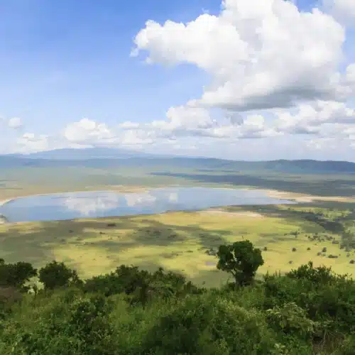 3-Day Ngorongoro Crater Big Five Safari – Tanzania’s Wildlife Wonder