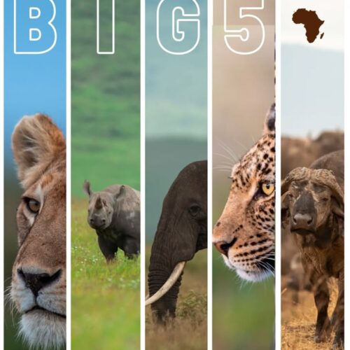 Akagera Big Five Safari