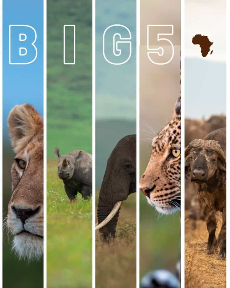 Akagera Big Five Safari